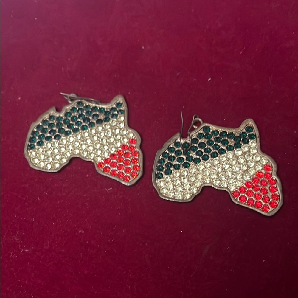 Multicolor Africa Shaped Earrings